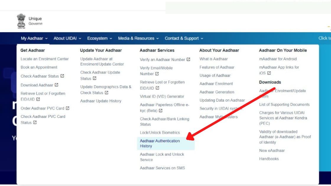 Aadhaar Authentication History How To Check And Download Pdf